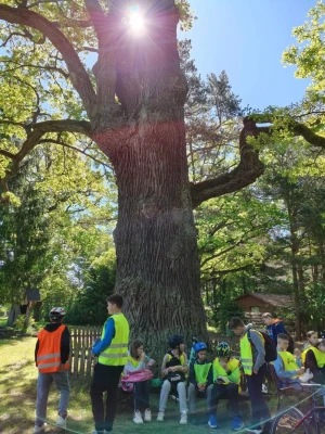 Na rowerach po przygodę!