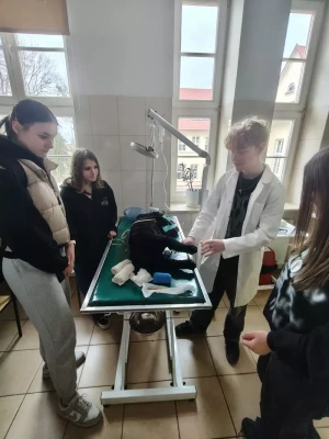 Dni otwarte - wybór szkoły ponadpodstawowej