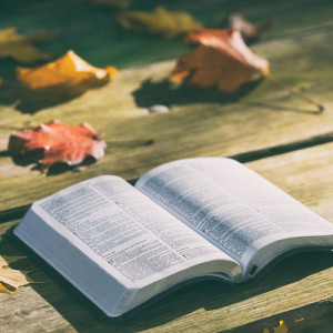 Ogólnopolski Dzień Głośnego Czytania