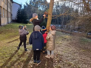 PSZCZÓŁKI DOKARMIAJĄ PTAKI!